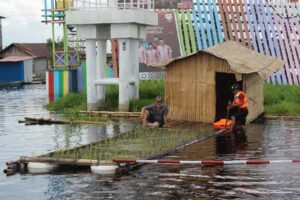 Perkembangan dan Ekosistem